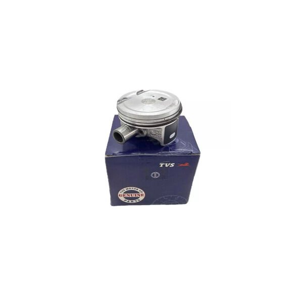 RAİDER PİSTON GRUBU (TVS B113)